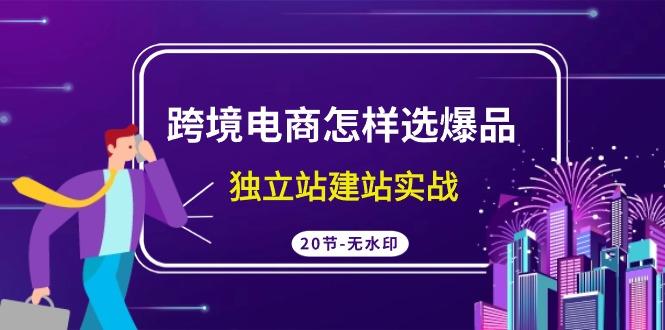 (9369期)跨境电商怎样选爆品，独立站建站实战(20节高清无水印课)-优创项目网
