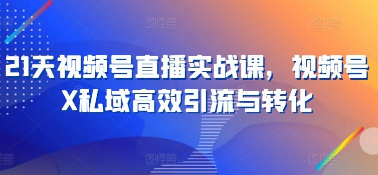 21天视频号直播实战课，视频号X私域高效引流与转化-优创项目网