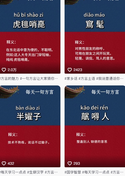 抖音最新涨粉玩法，图文方言暴力涨粉实操，126作品涨粉11W-优创项目网