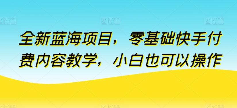 全新蓝海项目，零基础快手付费内容教学，小白也可以操作【揭秘】-优创项目网