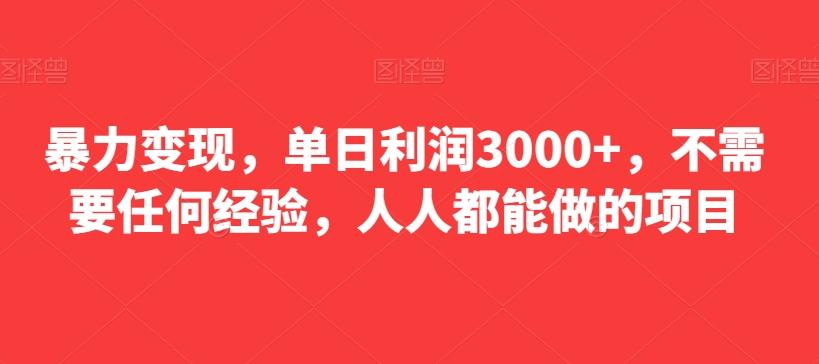 暴力变现，单日利润3000+，不需要任何经验，人人都能做的项目-优创项目网