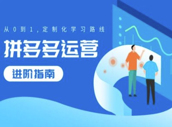 拼多多运营进阶指南，从0到1定制化学习路线-优创项目网
