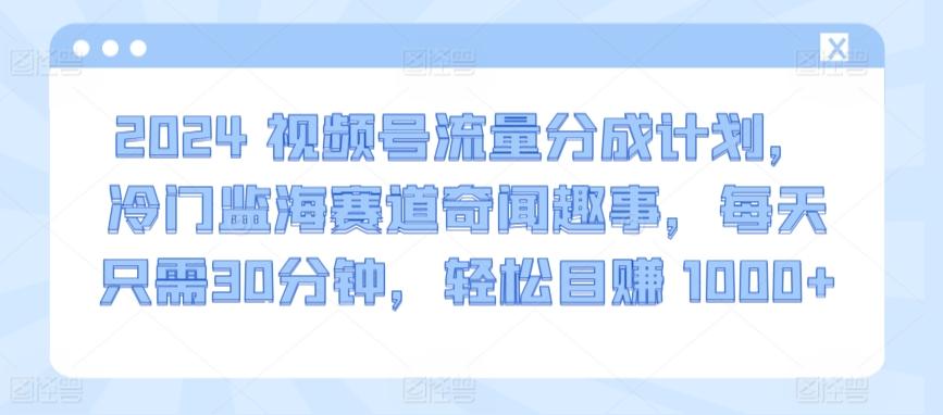 2024视频号流量分成计划，冷门监海赛道奇闻趣事，每天只需30分钟，轻松目赚 1000+【揭秘】-优创项目网