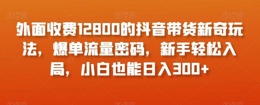 外面收费12800的抖音带货新奇玩法，爆单流量密码，新手轻松入局，小白也能日入300+【揭秘】-优创项目网
