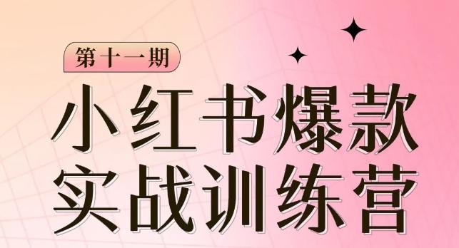 小红书博主爆款训练营第11期，手把手教你从0-1做小红书，从定位到起号到变现-优创项目网