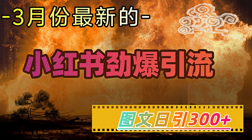小红书超劲爆引流手段，图文日引300+轻松变现1W-优创项目网