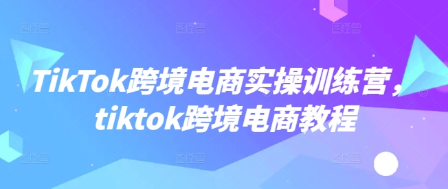 TikTok跨境电商实操训练营，tiktok跨境电商教程-优创项目网