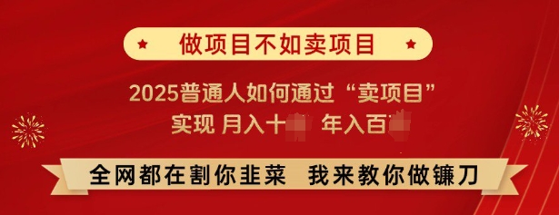 必看，做项目不如卖项目，2025普通人如何通过“卖项目”实现月入十个，年入百个-优创项目网