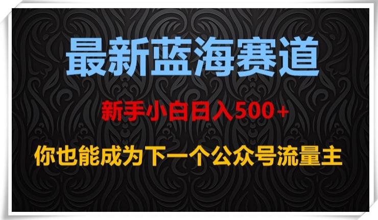 最新蓝海赛道，新手小白日入500+，你也能成为下一个公众号流量主【揭秘】-优创项目网