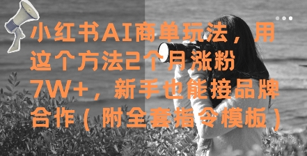 小红书AI商单玩法，用这个方法2个月涨粉7W+，新手也能接品牌合作(附全套指令模板)-优创项目网