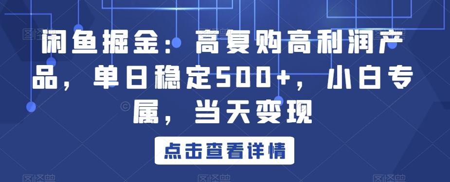 闲鱼掘金：高复购高利润产品，单日稳定500+，小白专属，当天变现-优创项目网