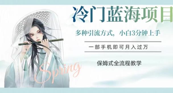 冷门蓝海项目，操作简单，小白3分钟上手，多种引流方式，保姆式全流程教学【揭秘】-优创项目网