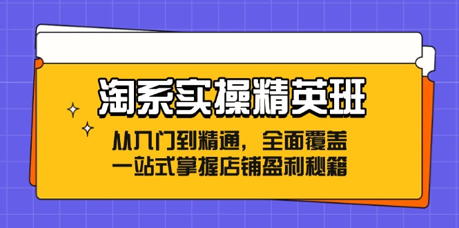 淘系实操精英班：从入门到精通，全面覆盖，一站式掌握店铺盈利秘籍-优创项目网