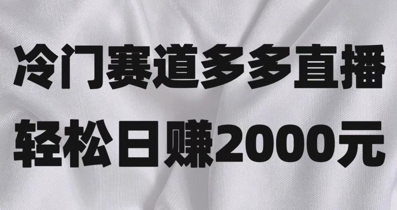 冷门赛道拼多多直播，简单念稿子，日收益2000＋【揭秘】-优创项目网