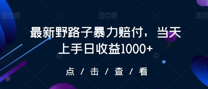 最新野路子暴力赔付，当天上手日收益1000+【仅揭秘】-优创项目网