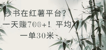抄书在小红薯平台？平均一单30米，一天收益几张！-优创项目网