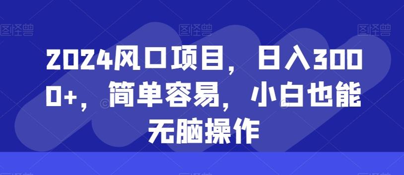 2024风口项目，日入3000+，简单容易，小白也能无脑操作-优创项目网