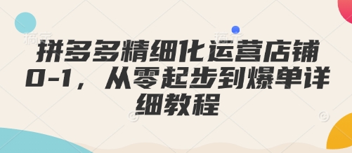 拼多多精细化运营店铺0-1，从零起步到爆单详细教程-优创项目网