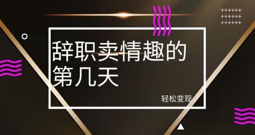 冷门赛道，辞职卖情趣的第几天，超暴力项目-优创项目网