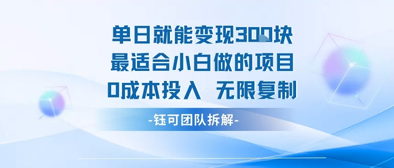 单日就能变现3张最适合小白做的项目0成本投入 无限复制-优创项目网