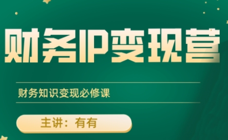 有有老师·财务IP变现营，财务知识变现必修课-优创项目网