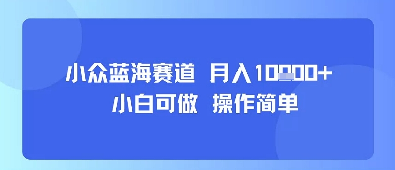 小众蓝海赛道，小白可做，操作简单，每天30分钟，月入1W+-优创项目网