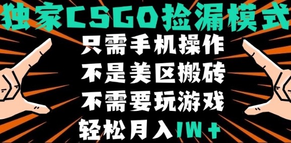 CSGO自动捡漏项目，最新独家玩法，不是美区搬砖，不需要了解和玩游戏，新手小白轻松月入1W+【揭秘】-优创项目网