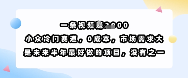 一条视频挣1k，小众冷门赛道，0成本，市场需求大，是未来半年最好做的项目，没有之一-优创项目网