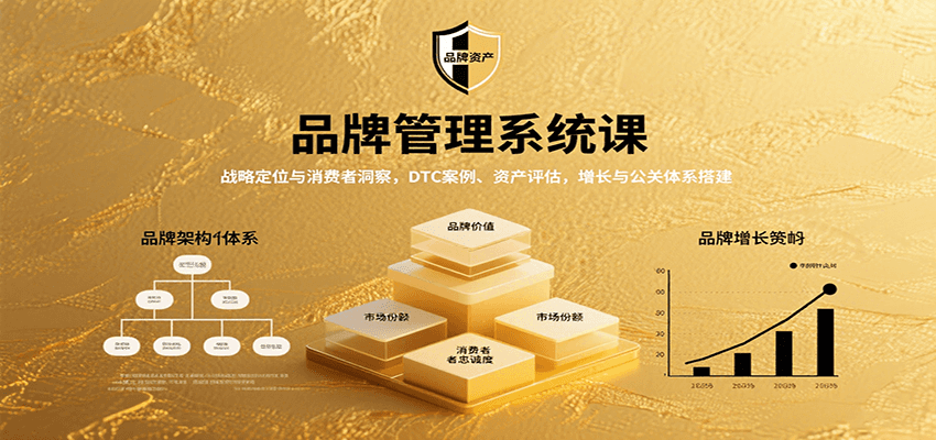 品牌管理系统课：战略定位与消费者洞察，DTC案例、资产评估，增长与公关体系搭建-优创项目网