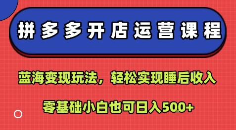 拼多多开店运营课程：蓝海变现玩法，轻松实现睡后收入，零基础小白也可日入5张-优创项目网