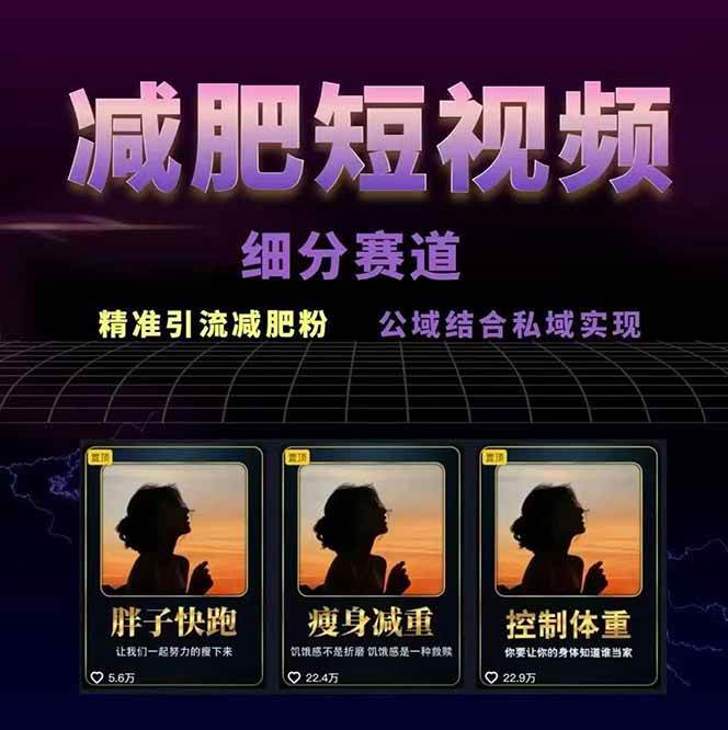 图片[2]-减肥短视频运营实战课：含素材制作、剪映教学，讲精准引流、变现设计与内容模板技巧-优创项目网