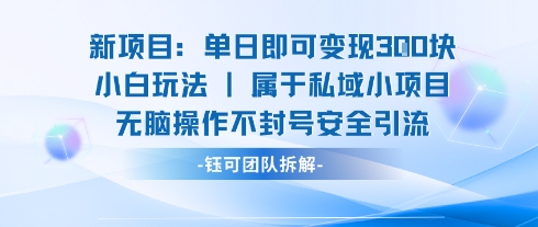 新项目单日即可变现3张的小白玩法无脑操作不封号安全引流-优创项目网