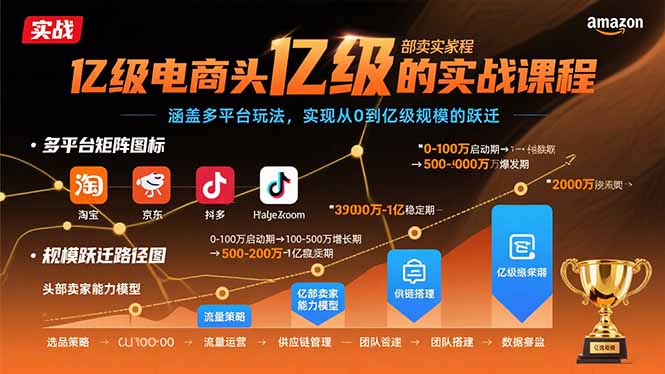 亿级电商头部卖家的实战课程：涵盖多平台玩法，实现从0到亿级规模的跃迁-优创项目网