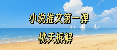 小说推文项目操作全流程第一弹，0粉就能做，门槛低非常适合新手-优创项目网