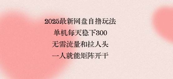 2025最新网盘自撸玩法，单机每天稳下3张，无需流量和拉人头，一个人就可轻松矩阵，全网独一份【揭秘】-优创项目网