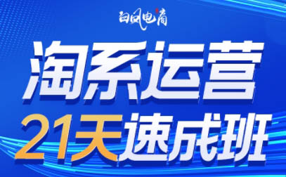 白凤电商·淘系运营21天速成班(更新8月)-优创项目网