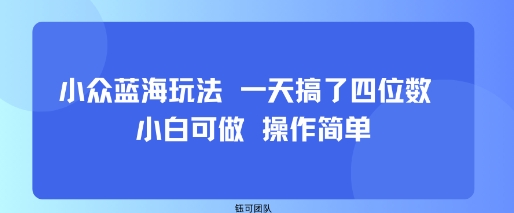小众蓝海玩法 一天搞了四位数 小白可做 操作简单-优创项目网