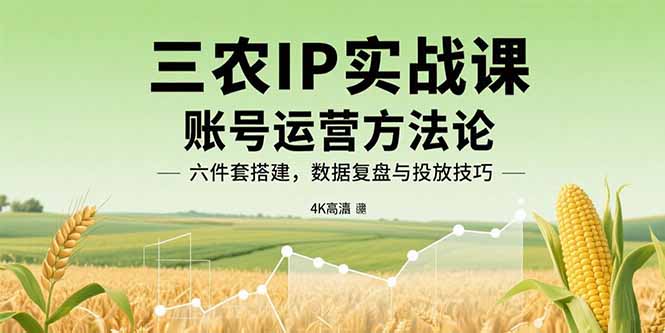 三农IP实战课：账号运营方法论，六件套搭建，数据复盘与投放技巧-优创项目网