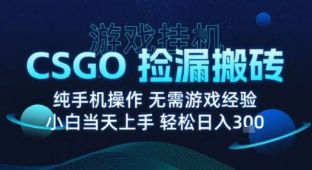 8月最新游戏搬砖，CSGO纯挂G，不需要玩游戏，实现真挂G，月入1W+【揭秘】-优创项目网
