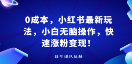 0成本，小红书最新玩法，小白无脑操作，快速涨粉变现-优创项目网