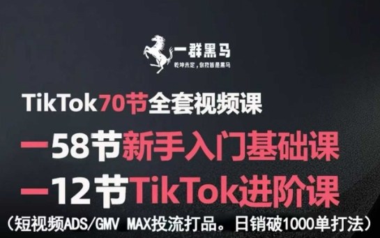 TikTok全套视频课，新手入门+进阶课，短视频ADS-GMV MAX投流打品，日销破1000单打法-优创项目网
