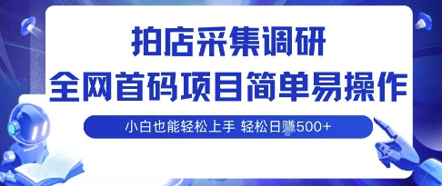 拍店采集调研，全网首码项目，简单易操作， 小白也能轻松上手，多账号操作，轻松日入5张【揭秘】-优创项目网
