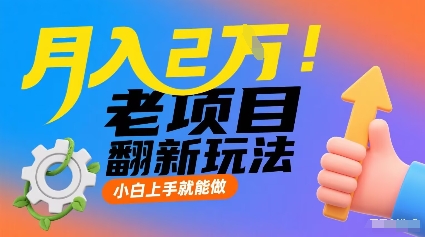月入2W！老项目翻新玩法，小白上手就能做，非常容易上手-优创项目网