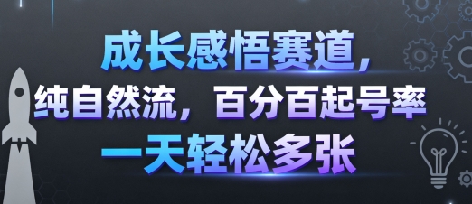 成长感悟赛道，纯自然流，百分百起号率 一天轻松多张-优创项目网