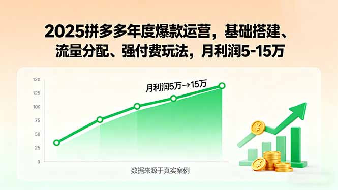 2025拼多多年度爆款运营，基础搭建、流量分配、强付费玩法，月利润5-15万-优创项目网