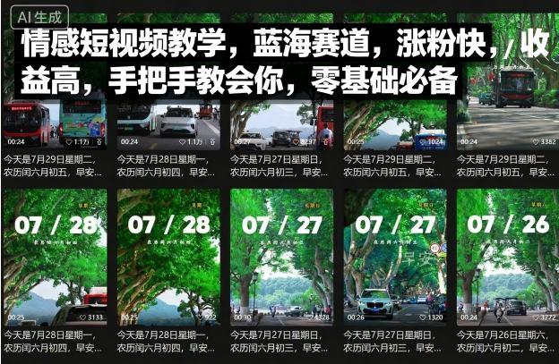 情感短视频教学，蓝海赛道，涨粉快，收益高，手把手教会你，零基础必备-优创项目网