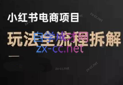 菲菲老师·小红书电商玩法(更新9月)-优创项目网
