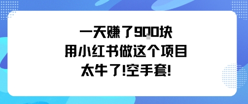 一天挣了9张用小红书做这个项目太牛了，空手套-优创项目网