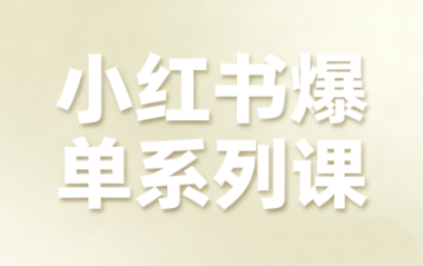 尼采老师·小红书爆单系列课-优创项目网