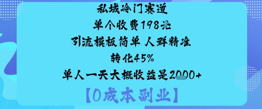 私域冷门赛道:单个收费198米引流模板简单人群精准转化45%单人一天大概收益是1k+-优创项目网